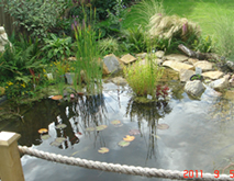 landscape=pond-gardener-Kent.jpg