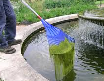 pond-maintenance-Kent.jpg